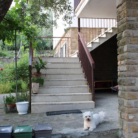 Bella Vista Bolognese Villa Trespiano Eksteriør billede